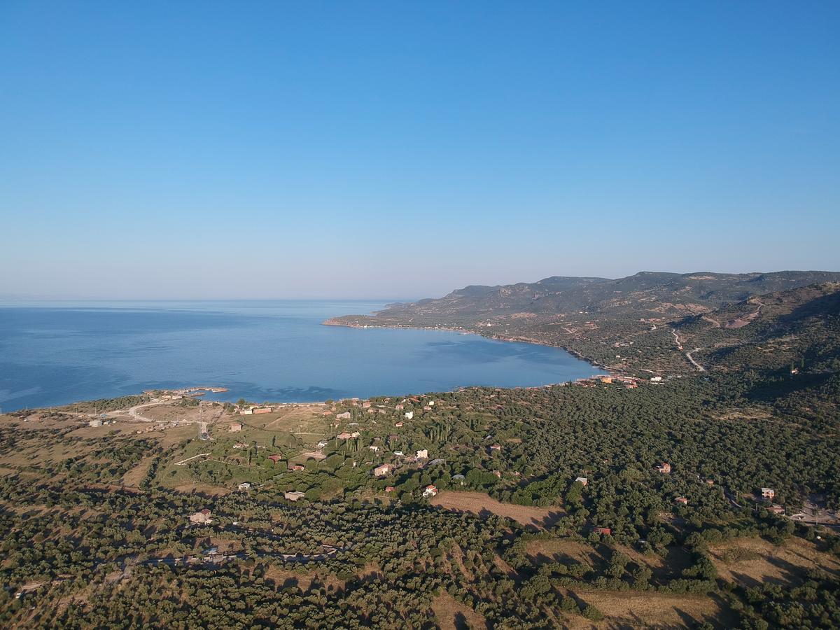 Assos Batik Iskele Beach Hotel Балабанлы Экстерьер фото